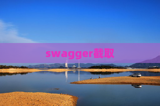 swagger截取